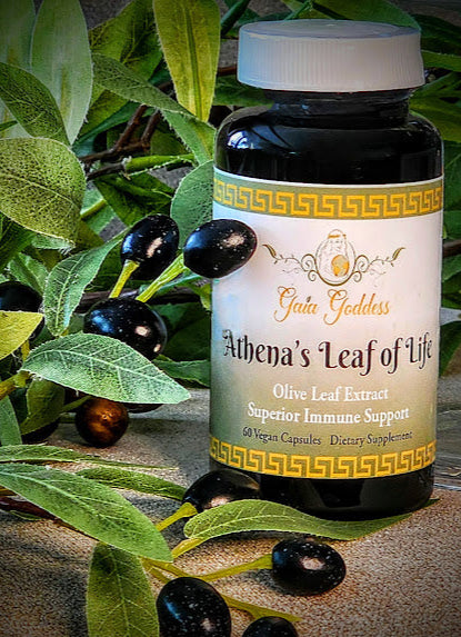 Athena's Leaf of Life Immune Support with Olive Leaf Extract
