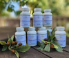 A bottle of 'Athena's Leaf of Life' antioxidant capsules by Gaia Goddess.  Contains 60 vegan capsules.